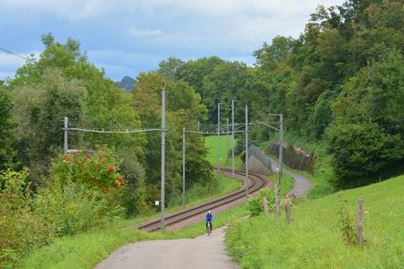 Bodensee-fietsroute Mammern