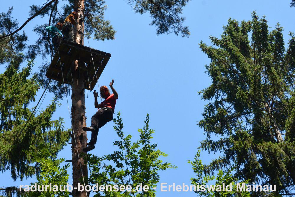 Fietsvakantie aan de Bodensee - Erlebniswald Mainau